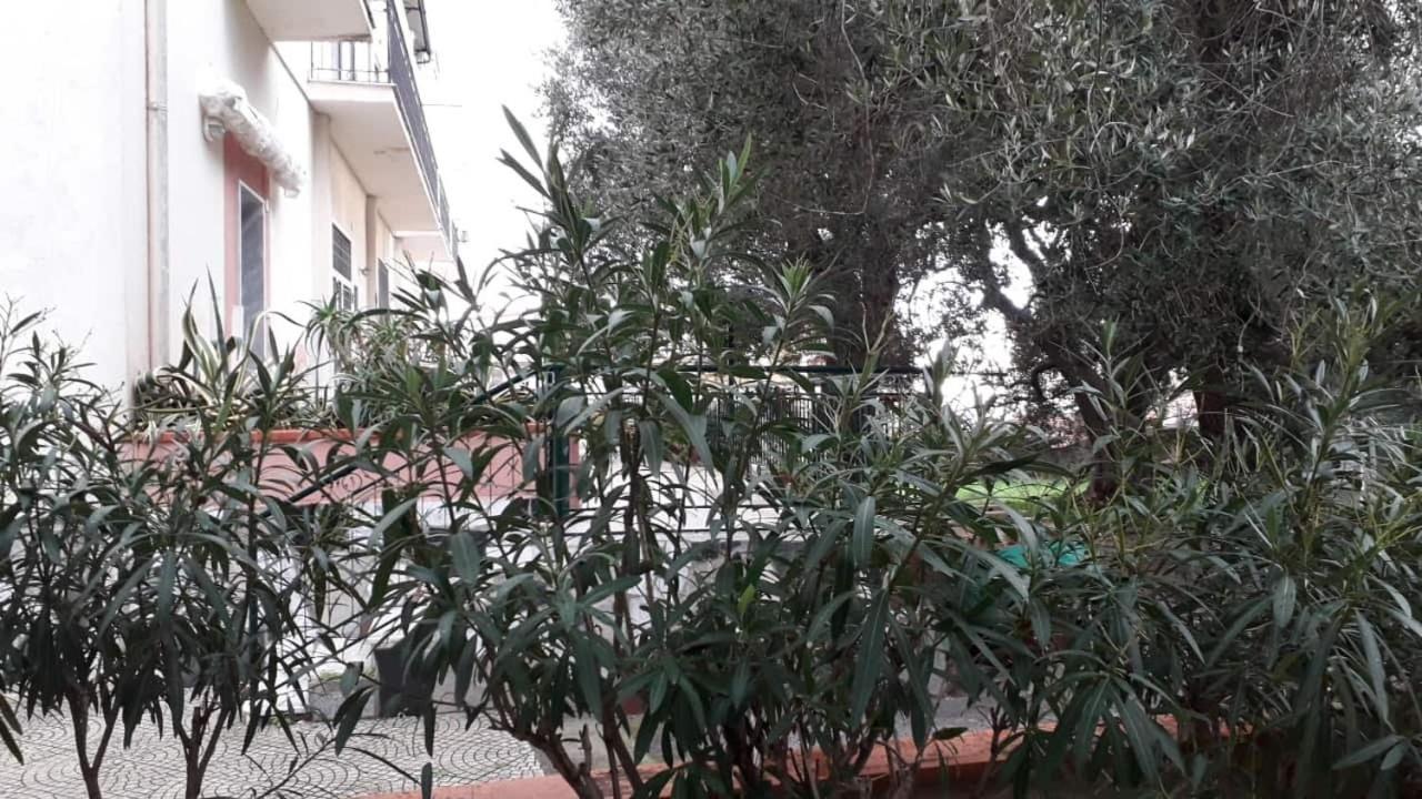 מרינה די קמרוטה Cialoma Full Green מראה חיצוני תמונה