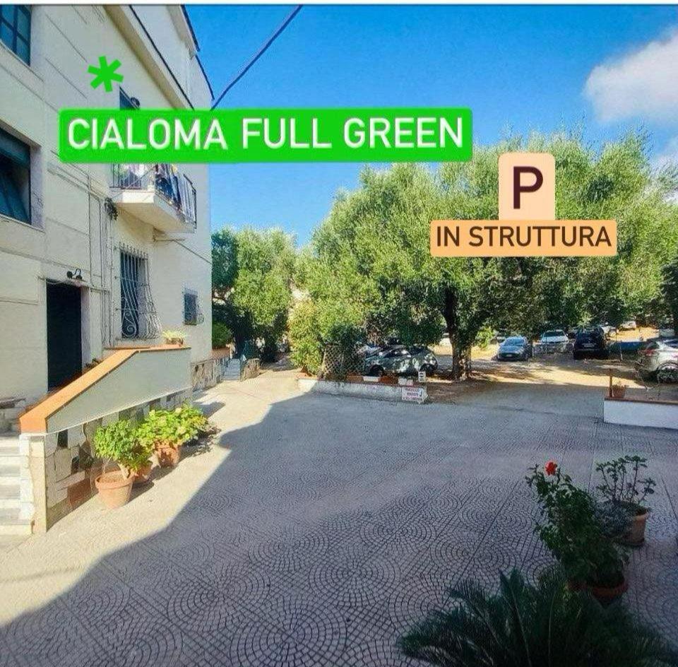 מרינה די קמרוטה Cialoma Full Green מראה חיצוני תמונה